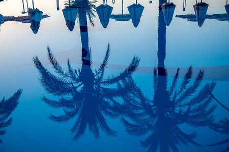 sun loungers by the pool, rest, relax, summer vacation, reflection of palm trees in the pool waterの写真素材