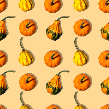 seamless pattern pumpkins on a orange, beige background. Concept autumn, harvestの写真素材