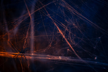 Halloween. crawl spiders on the web.の写真素材