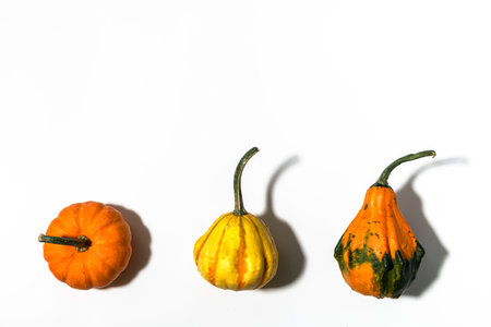 Three different pumpkins on a white background. Concept autumn, harvestの写真素材