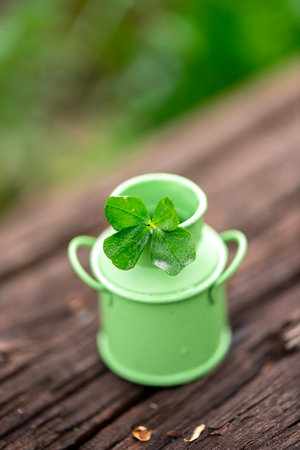 Four-leaf clover in green bucket in nature, natural background, symbol of good luck, with copy spaceの写真素材