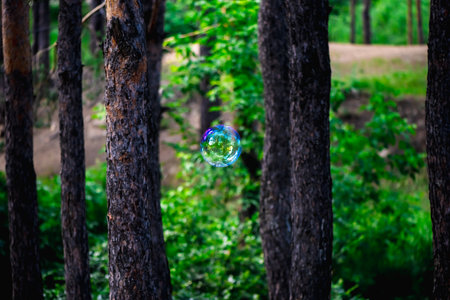 Soap ball in daylight against a background of greenery.
