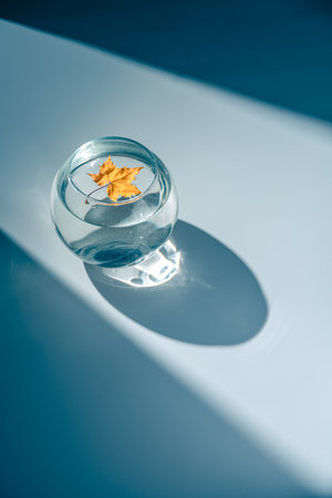 Autumn conceptual still life, yellow maple leaf in a glass of water, glare from the sunの写真素材
