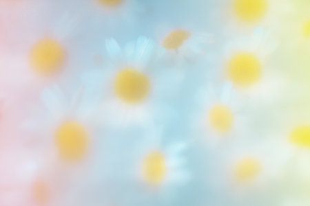 Abstract Floral Natural Background With White Daisies Through Matte Surface, glass, Soft Focus, Delicate Colorsの写真素材