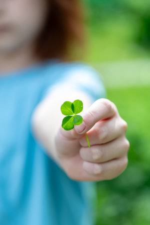 a child's hand holds a plucked green four-leaf clover, a symbol of good luck, with copy spaceの写真素材