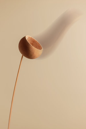Minimalist composition featuring a dried flower on a stem, with movement, blur on a solid beige background, creating a serene and natural aestheticの写真素材