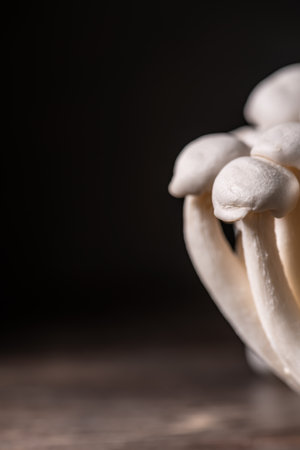 Closeup of a bunch of shimeji mushrooms on black background, with selective focus, healthy food, with copy spaceの写真素材
