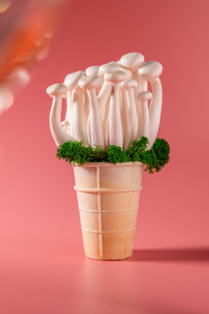 bunch of shimeji mushrooms with green moss in a cone, on bright, colorful, pink background, superfood, a type of delicious oyster mushroom, healthy foodの写真素材