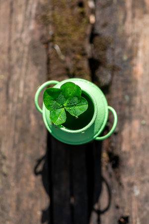 Four-leaf clover in green bucket in nature, natural background, symbol of good luck, with copy spaceの写真素材