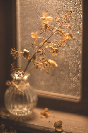 Warm sunlight illuminates a glass vase containing dried hydrangea flowers, creating a cozy autumnal scene on a windowsillの写真素材