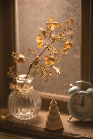 Warm sunlight illuminates a glass vase containing dried flowers, creating a cozy autumnal scene on a windowsillの写真素材