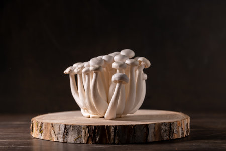 Closeup of a bunch of shimeji mushrooms on a tree cut, on wooden, dark background, with copy space, a type of delicious mushroom, healthy foodの写真素材