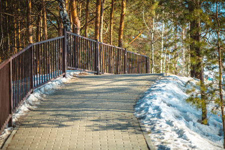 Concrete block paved path bordered by a metal fence and snow going slightly uphill towards a stairway in a park with pine and birch trees during winterの写真素材