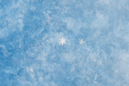 Close-up view of delicate snow crystals sparkling in the sunlight on a clear blue winter day, showcasing the intricate beauty of nature's frozen artistryの写真素材