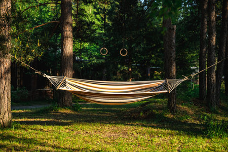 Comfortable hammock hanging between two pine trees in a relaxing summer forest setting, creating a peaceful atmosphere for rest and leisureの写真素材