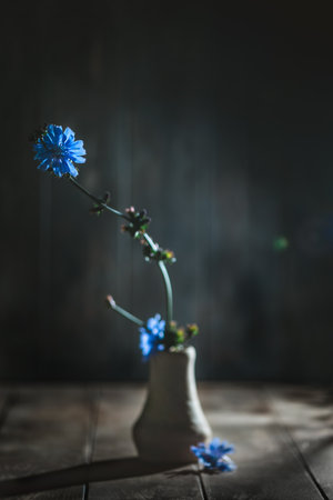 Chicory flowers displayed in a rustic vase, set against a dark, textured background. The blue blooms and earthy tones create a serene, natural aesthetic on a wooden surfaceの写真素材