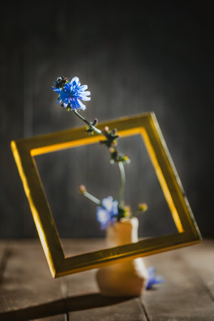 Chicory flowers are arranged in a small vase on a rustic wooden table, with a golden frame leaning against it, creating a simple yet artistic compositionの写真素材