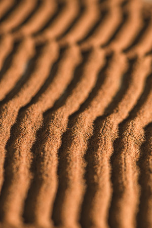 Chicory powder intricate forms, wavy patterns in a close-up view, showing its fine texture and rich, earthy tones. The image highlights the natural beauty and complexity of the chicory surfaceの写真素材
