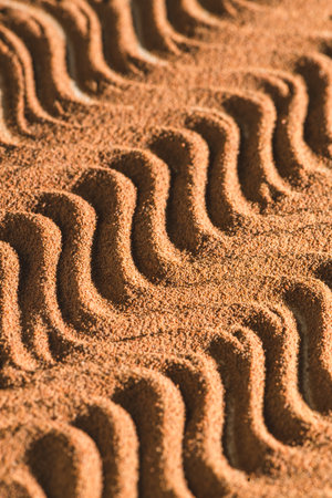 Chicory powder intricate forms, wavy patterns in a close-up view, showing its fine texture and rich, earthy tones. The image highlights the natural beauty and complexity of the chicory surfaceの写真素材