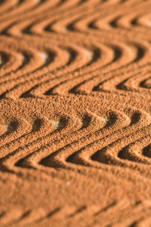 Chicory powder intricate forms, wavy patterns in a close-up view, showing its fine texture and rich, earthy tones. The image highlights the natural beauty and complexity of the chicory surfaceの写真素材