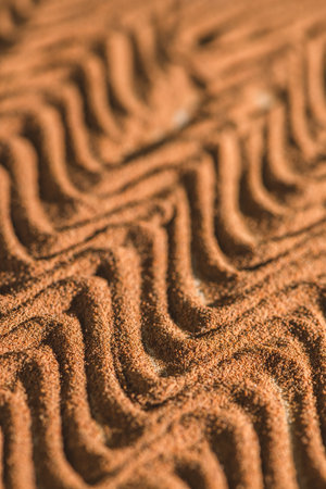 Chicory powder intricate forms, wavy patterns in a close-up view, showing its fine texture and rich, earthy tones. The image highlights the natural beauty and complexity of the chicory surfaceの写真素材