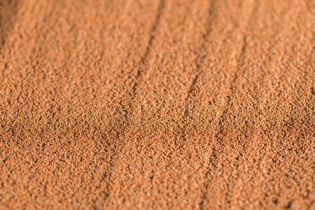 Ground chicory root forms a rich brown textured surface, capturing the essence of this versatile ingredient used as a coffee substitute and flavor enhancerの写真素材