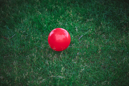 Bright red ball sits on a bed of lush green grass, providing a striking contrast in an open field setting, ideal for concepts related to recreation, games, and outdoor activitiesの写真素材