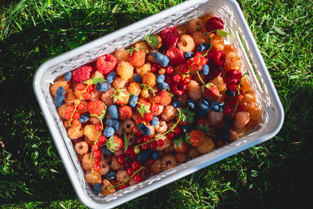Overflowing white plastic basket filled with vibrant, freshly picked berries like raspberries, strawberries, red currants, and honeysuckle resting on lush green grass under natural sunlightの写真素材