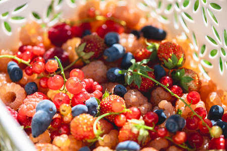 Vibrant mix of freshly picked berries, including strawberries, raspberries, honeysuckle, and red currants, creates a colorful and abundant display of summer's bountyの写真素材