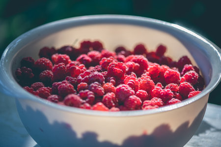 Sunlit bowl filled with vibrant, fresh raspberries captures the essence of summer. The ripe berries, glowing in natural light, evoke a sense of freshness and abundanceの写真素材