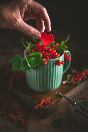 Hand gently placing a small red heart into a green mug brimming with freshly picked redcurrants, symbolizing love, care, and the bounty of natureの写真素材
