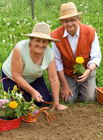 Happy healthy seniors gardening - planting flowers togetherの写真素材