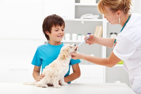 Pet taking medicine - young boy with his fluffy dog at the veterinary doctorの写真素材