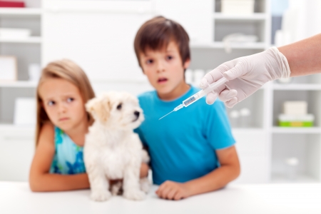 Vaccination for pets - worried kids with their dog at the veterinary doctorの写真素材