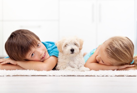 Kids at home with their new pet - a fluffy white dogの写真素材