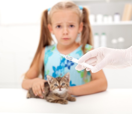 Little girl afraid for her kitten getting a vaccine at the veterinary - focus on syringeの写真素材