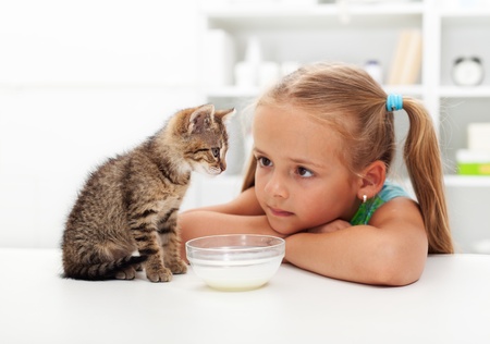 Me and my cat - little girl and her new kitten getting to know each otherの写真素材