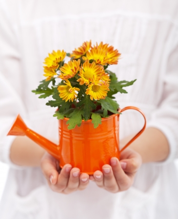 Little girl hands with flowers - spring gardeningの写真素材