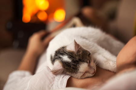 A purrfect evening - woman relaxing with her kitten laying on a couch by the fire of a fireplace, shallow depthの写真素材