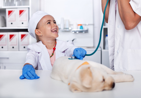 Laughing little girl playing veterinary doctor - examining her puppy dog at the animal healthcare facility, close upの写真素材