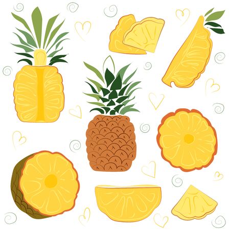 Bright vector set of colorful half, slice and whole of juicy pineapple.のイラスト素材
