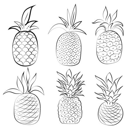 Black and white pineapple isolated on white background. Vector illustration. Decorative retro style pineapple product for restaurant menu, market label, coloring book.のイラスト素材
