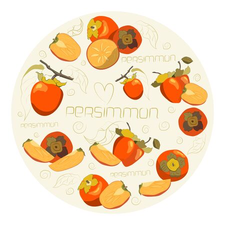 Bright vector set of colorful half, slice and whole of juicy persimmon.のイラスト素材