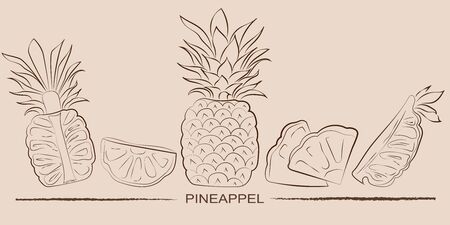 Vintage pineappels set, great design for any purposes.のイラスト素材