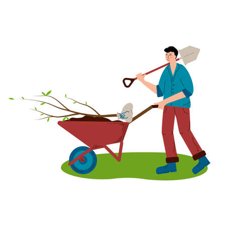 A young man is rolling a tree for planting in a wheelbarrow. The man carries a shovel on his shoulder and rolls a wheelbarrow. A hobby is gardening. Flat style Vector Illustration isolated on white Background.のイラスト素材