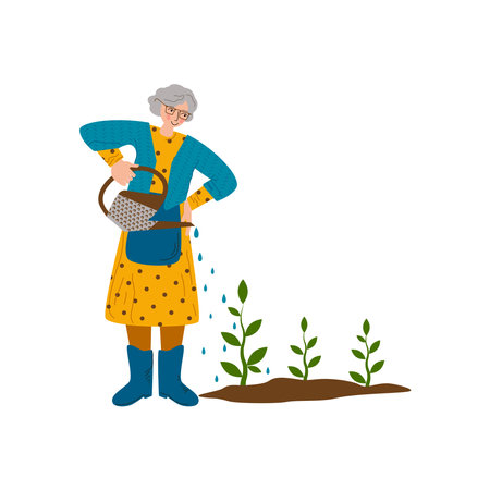 Old woman is watering plants. A hobby is gardening. The joy of working outdoors. Flat style Vector Illustration isolated on white Background.のイラスト素材