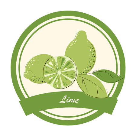 Lime Slices and whole Lime Jam, Marmalade, dessert and ice cream Label. Flat style Vector Illustration.のイラスト素材