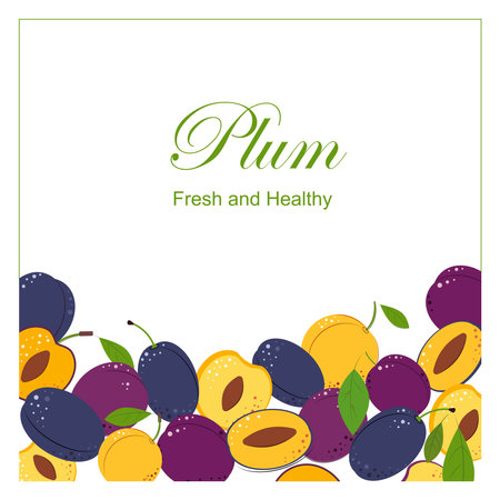 Composition of Plum Berry Whole and Cut One. Ripe juicy Berries with Green Leaves. Plum for jam and dessert. Flat style Vector Illustration.のイラスト素材
