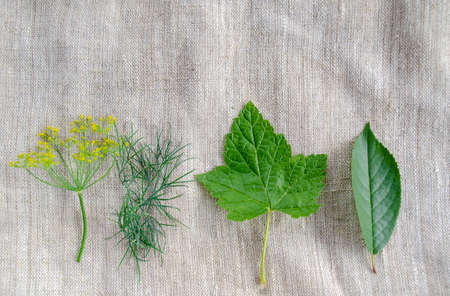 Lightly salted cucumber recipe herbs ingredients, flat lay top view on the organic rustic linen...