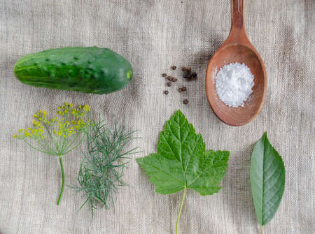 Lightly salted cucumber ingredients, flat lay top view on the organic rustic linen cloth background. Wooden spoon, salt, grain peppers, dill, currant and cherry leafの写真素材